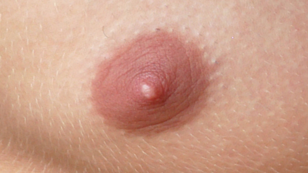 Illustration for article titled An Enemy In Hiding: Amongst These Innocent
MaleĀ NipplesĀ Lurks A Wicked FemaleĀ Nipple!